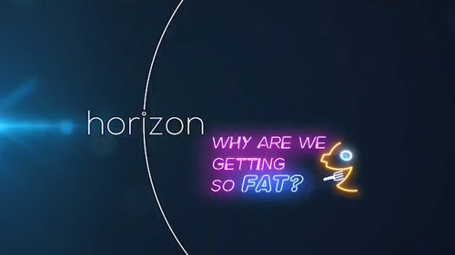 BBC Horizon. Чому ми гладшаємо?