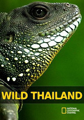 Дика природа Таїланду
